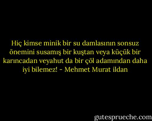 Hiç kimse minik bir su damlasının sonsuz önemini susamış bir kuştan veya küçük bir karıncadan veyahut da bir çöl adamından daha iyi bilemez! - Mehmet Murat ildan