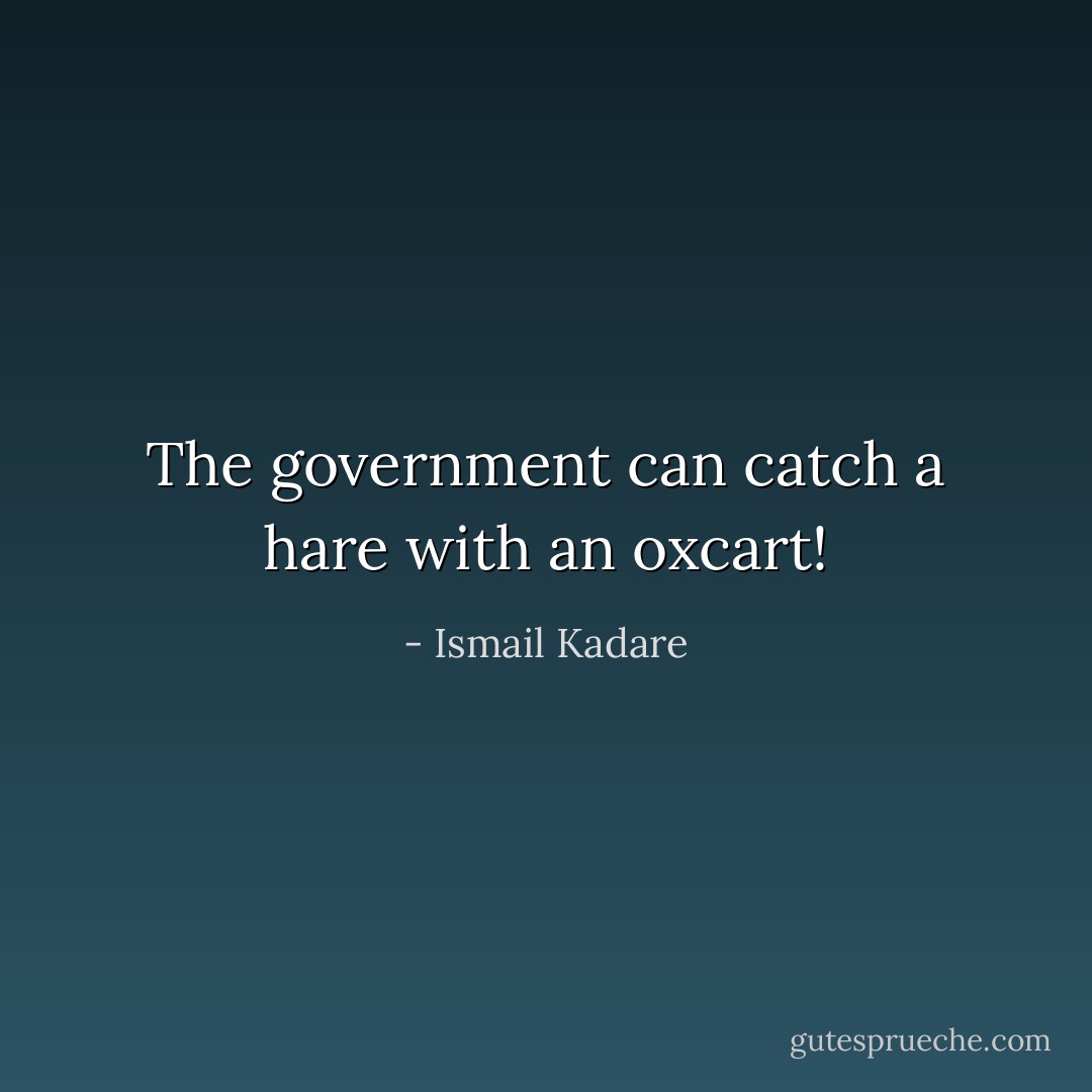 The government can catch a hare with an oxcart! - Ismail Kadare