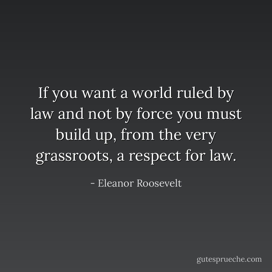 If you want a world ruled by law and not by force you must build up, from the very grassroots, a respect for law. - Eleanor Roosevelt