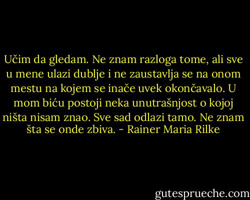 Učim da gledam. Ne znam razloga tome, ali sve u mene ulazi dublje i ne zaustavlja se na onom mestu na kojem se inače uvek okončavalo. U mom biću postoji neka unutrašnjost o kojoj ništa nisam znao. Sve sad odlazi tamo. Ne znam šta se onde zbiva. - Rainer Maria Rilke