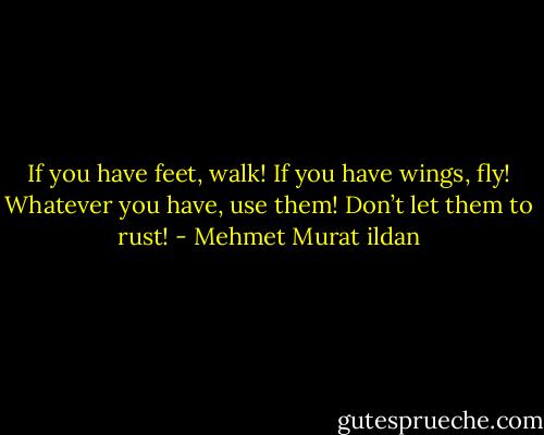 If you have feet, walk! If you have wings, fly! Whatever you have, use them! Don’t let them to rust! - Mehmet Murat ildan
