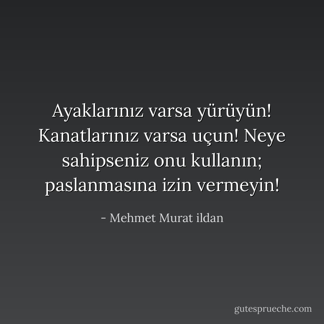 Ayaklarınız varsa yürüyün! Kanatlarınız varsa uçun! Neye sahipseniz onu kullanın; paslanmasına izin vermeyin! - Mehmet Murat ildan