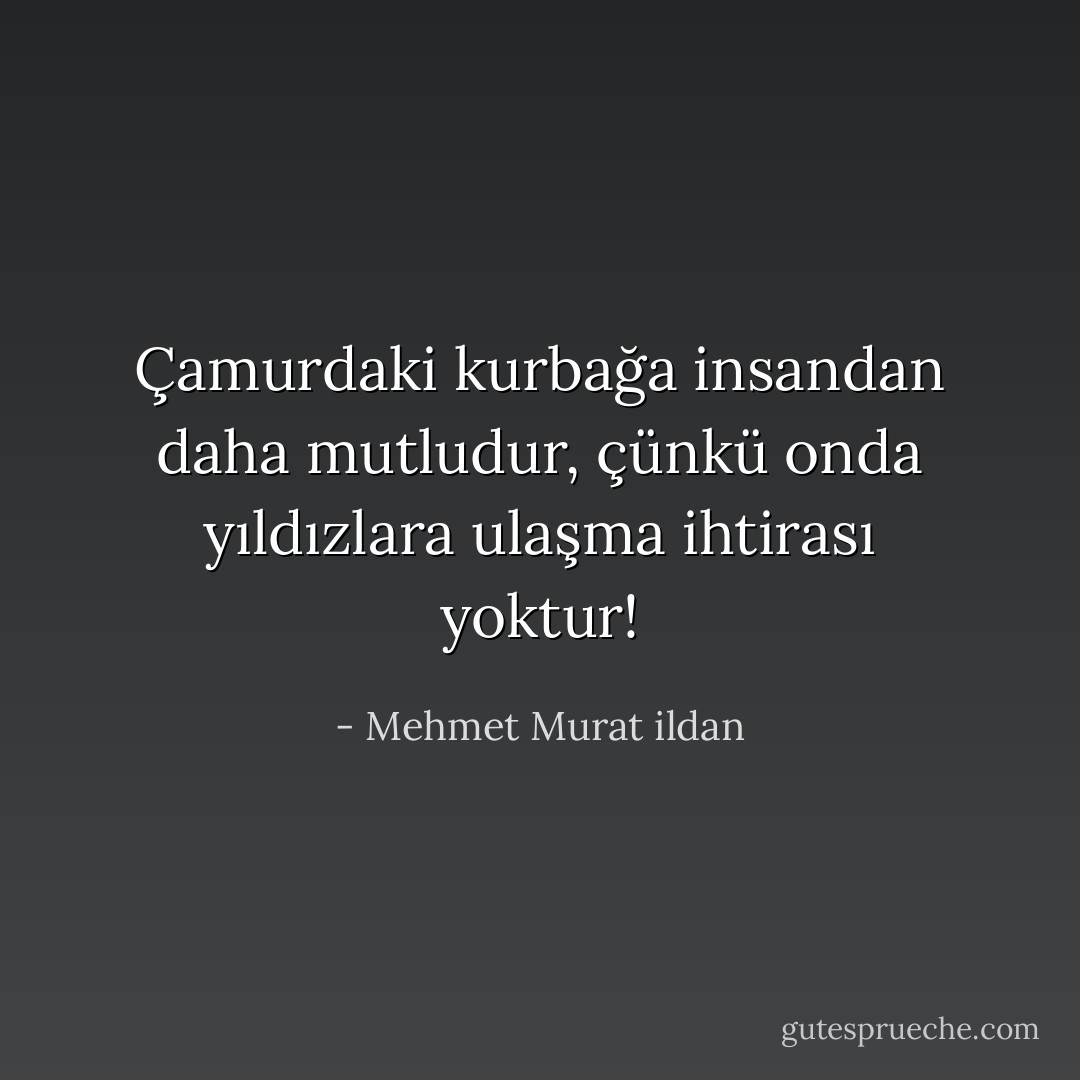 Çamurdaki kurbağa insandan daha mutludur, çünkü onda yıldızlara ulaşma ihtirası yoktur! - Mehmet Murat ildan