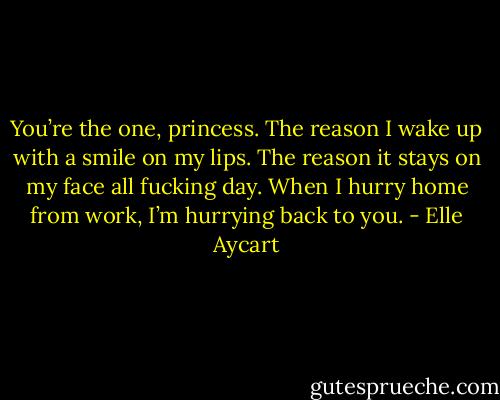 You’re the one, princess. The reason I wake up with a smile on my lips. The reason it stays on my face all fucking day. When I hurry home from work, I’m hurrying back to you. - Elle Aycart
