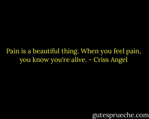 Pain is a beautiful thing. When you feel pain, you know you're alive. - Criss Angel