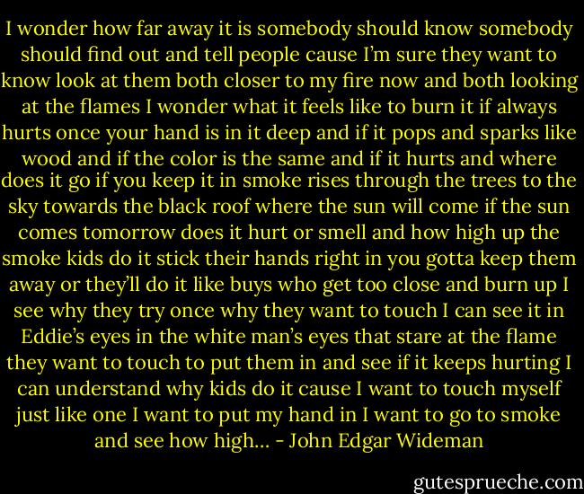 I wonder how far away it is somebody should know somebody should find out and tell people cause I’m sure they want to know look at them both closer to my fire now and both looking at the flames I wonder what it feels like to burn it if always hurts once your hand is in it deep and if it pops and sparks like wood and if the color is the same and if it hurts and where does it go if you keep it in smoke rises through the trees to the sky towards the black roof where the sun will come if the sun comes tomorrow does it hurt or smell and how high up the smoke kids do it stick their hands right in you gotta keep them away or they’ll do it like buys who get too close and burn up I see why they try once why they want to touch I can see it in Eddie’s eyes in the white man’s eyes that stare at the flame they want to touch to put them in and see if it keeps hurting I can understand why kids do it cause I want to touch myself just like one I want to put my hand in I want to go to smoke and see how high… - John Edgar Wideman