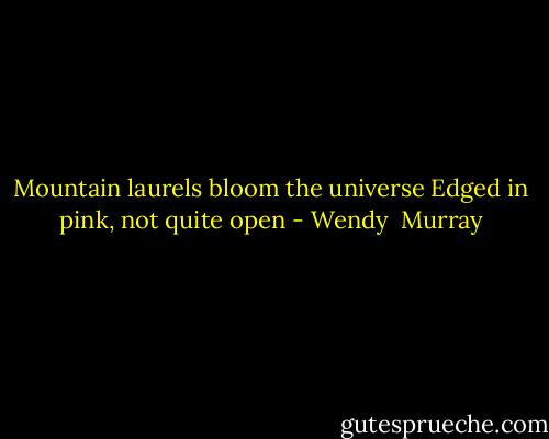 Mountain laurels bloom the universe<br />Edged in pink, not quite open - Wendy  Murray