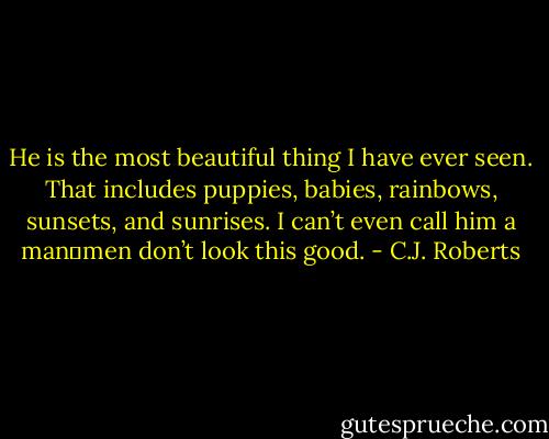 He is the most beautiful thing I have ever seen. That includes puppies, babies, rainbows, sunsets, and sunrises. I can’t even call him a man―men don’t look this good. - C.J. Roberts