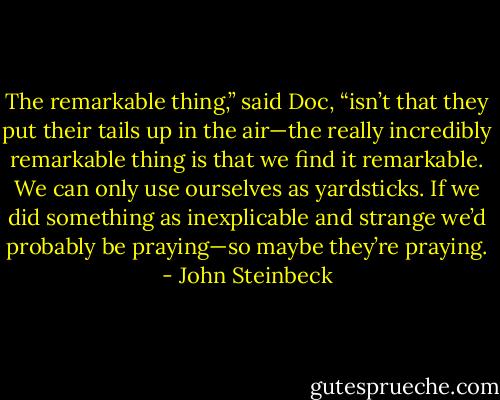 The remarkable thing,” said Doc, “isn’t that they put their tails up in the air—the really incredibly remarkable thing is that we find it remarkable. We can only use ourselves as yardsticks. If we did something as inexplicable and strange we’d probably be praying—so maybe they’re praying. - John Steinbeck