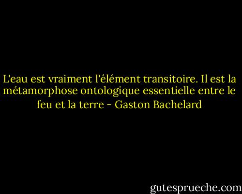 L'eau est vraiment l'élément transitoire. Il est la métamorphose ontologique essentielle entre le feu et la terre - Gaston Bachelard