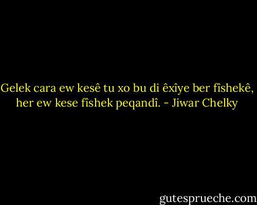 Gelek cara ew kesê tu xo bu di êxîye ber fîshekê, her ew kese fîshek peqandî. - Jiwar Chelky