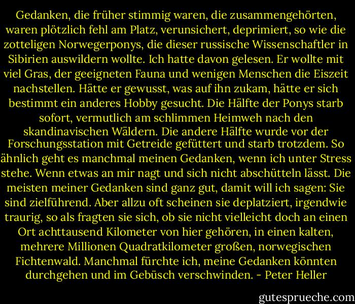 Gedanken, die früher stimmig waren, die zusammengehörten, waren plötzlich fehl am Platz, verunsichert, deprimiert, so wie die zotteligen Norwegerponys, die dieser russische Wissenschaftler in Sibirien auswildern wollte. Ich hatte davon gelesen. Er wollte mit viel Gras, der geeigneten Fauna und wenigen Menschen die Eiszeit nachstellen. Hätte er gewusst, was auf ihn zukam, hätte er sich bestimmt ein anderes Hobby gesucht. Die Hälfte der Ponys starb sofort, vermutlich am schlimmen Heimweh nach den skandinavischen Wäldern. Die andere Hälfte wurde vor der Forschungsstation mit Getreide gefüttert und starb trotzdem. So ähnlich geht es manchmal meinen Gedanken, wenn ich unter Stress stehe. Wenn etwas an mir nagt und sich nicht abschütteln lässt. Die meisten meiner Gedanken sind ganz gut, damit will ich sagen: Sie sind zielführend. Aber allzu oft scheinen sie deplatziert, irgendwie traurig, so als fragten sie sich, ob sie nicht vielleicht doch an einen Ort achttausend Kilometer von hier gehören, in einen kalten, mehrere Millionen Quadratkilometer großen, norwegischen Fichtenwald. Manchmal fürchte ich, meine Gedanken könnten durchgehen und im Gebüsch verschwinden. - Peter Heller