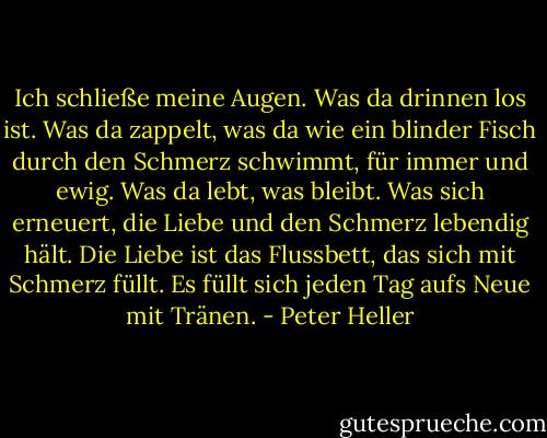 Ich schließe meine Augen. Was da drinnen los ist. Was da zappelt, was da wie ein blinder Fisch durch den Schmerz schwimmt, für immer und ewig. Was da lebt, was bleibt. Was sich erneuert, die Liebe und den Schmerz lebendig hält. Die Liebe ist das Flussbett, das sich mit Schmerz füllt. Es füllt sich jeden Tag aufs Neue mit Tränen. - Peter Heller