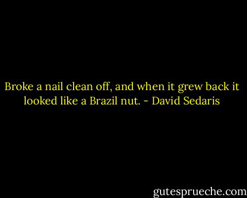 Broke a nail clean off, and when it grew back it looked like a Brazil nut. - David Sedaris