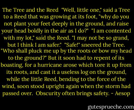 The Tree and the Reed<br /><br />"Well, little one," said a Tree to a Reed that was growing at its foot, "why do you not plant your feet deeply in the ground, and raise your head boldly in the air as I do?"<br /><br />"I am contented with my lot," said the Reed. "I may not be so grand, but I think I am safer."<br /><br />"Safe!" sneered the Tree. "Who shall pluck me up by the roots or bow my head to the ground?" But it soon had to repent of its boasting, for a hurricane arose which tore it up from its roots, and cast it a useless log on the ground, while the little Reed, bending to the force of the wind, soon stood upright again when the storm had passed over.<br /><br />Obscurity often brings safety. - Aesop