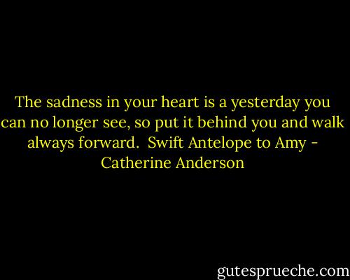 The sadness in your heart is a yesterday you can no longer see, so put it behind you and walk always forward.<br /><br />Swift Antelope to Amy - Catherine Anderson
