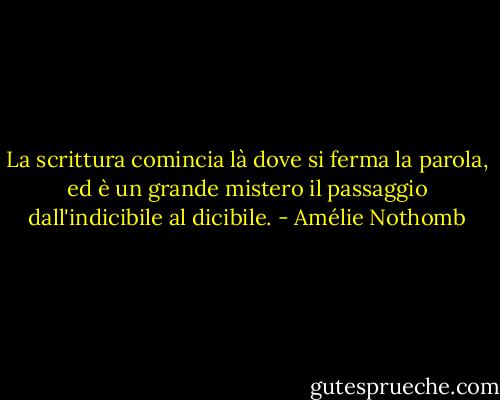La scrittura comincia là dove si ferma la parola, ed è un grande mistero il passaggio dall'indicibile al dicibile. - Amélie Nothomb