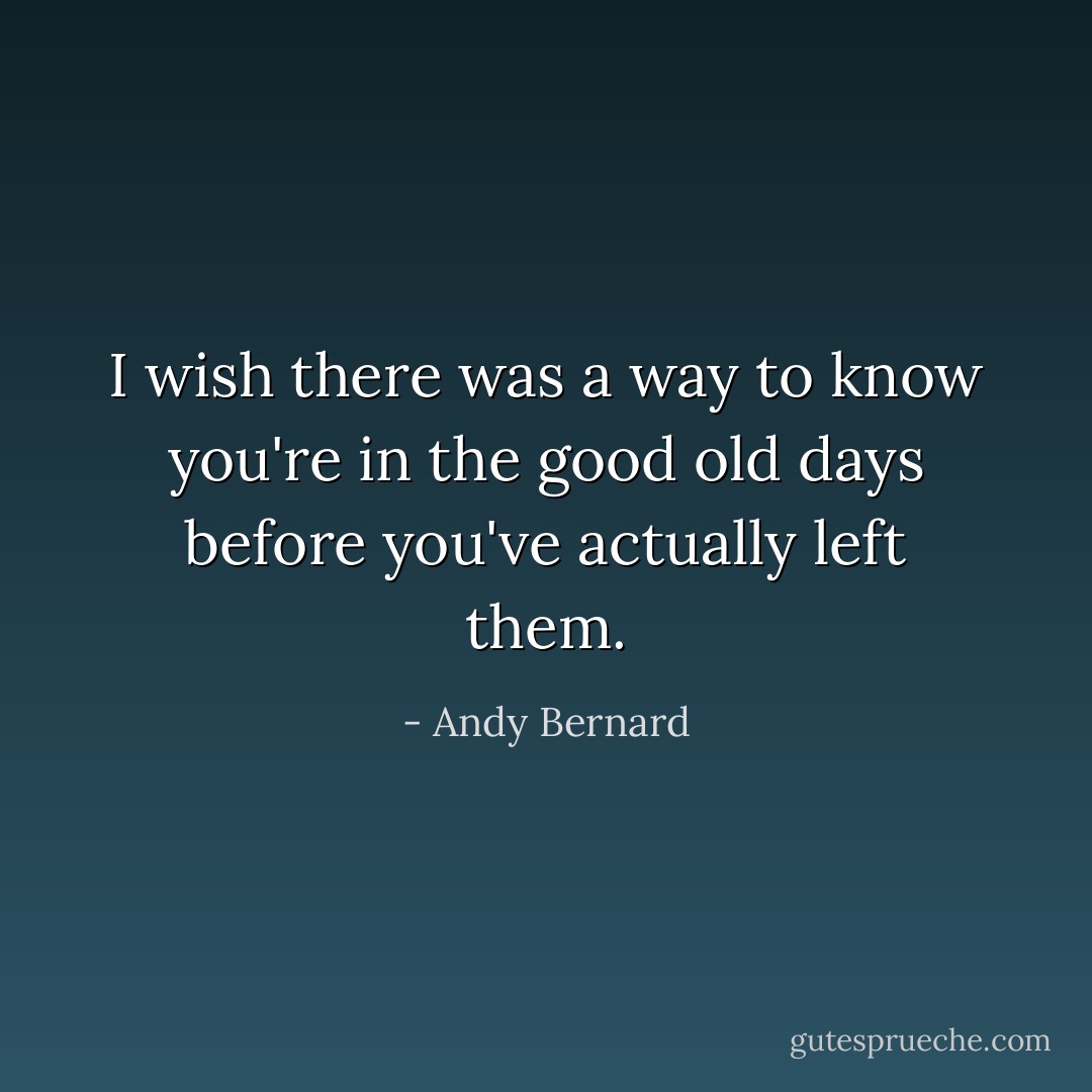I wish there was a way to know you're in the good old days before you've actually left them. - Andy Bernard