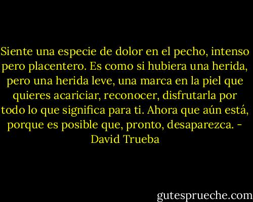 Siente una especie de dolor en el pecho, intenso pero placentero. Es como si hubiera una herida, pero una herida leve, una marca en la piel que quieres acariciar, reconocer, disfrutarla por todo lo que significa para ti. Ahora que aún está, porque es posible que, pronto, desaparezca. - David Trueba