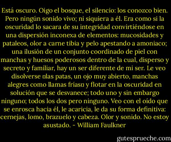 Está oscuro. Oigo el bosque, el silencio: los conozco bien. Pero ningún sonido vivo; ni siquiera a él. Era como si la oscuridad lo sacara de su integridad convirtiéndose en una dispersión inconexa de elementos: mucosidades y pataleos, olor a carne tibia y pelo apestando a amoniaco; una ilusión de un conjunto coordinado de piel con manchas y huesos poderosos dentro de la cual, disperso y secreto y familiar, hay un ser diferente de mi ser. Le veo disolverse ―las patas, un ojo muy abierto, manchas alegres como llamas frías― y flotar en la oscuridad en solución que se desvanece; todo uno y sin embargo ninguno; todos los dos pero ninguno. Veo con el oído que se enrosca hacia él, le acaricia, le da su forma definitiva: cernejas, lomo, brazuelo y cabeza. Olor y sonido. No estoy asustado. - William Faulkner