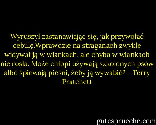 Wyruszył zastanawiając się, jak przywołać cebulę.Wprawdzie na straganach zwykle widywał ją w wiankach, ale chyba w wiankach nie rosła. Może chłopi używają szkolonych psów albo śpiewają pieśni, żeby ją wywabić? - Terry Pratchett