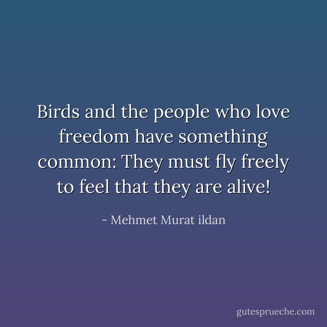 Birds and the people who love freedom have something common: They must fly freely to feel that they are alive! - Mehmet Murat ildan