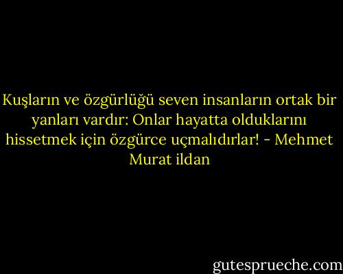 Kuşların ve özgürlüğü seven insanların ortak bir yanları vardır: Onlar hayatta olduklarını hissetmek için özgürce uçmalıdırlar! - Mehmet Murat ildan