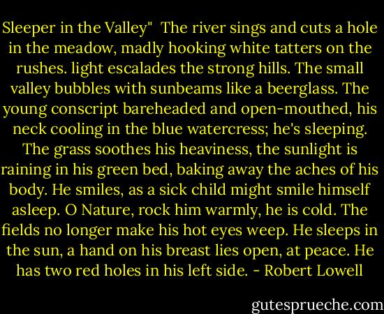 Sleeper in the Valley"<br /><br />The river sings and cuts a hole in the meadow,<br />madly hooking white tatters on the rushes.<br />light escalades the strong hills. The small<br />valley bubbles with sunbeams like a beerglass.<br />The young conscript bareheaded and open-mouthed,<br />his neck cooling in the blue watercress;<br />he's sleeping. The grass soothes his heaviness,<br />the sunlight is raining in his green bed,<br />baking away the aches of his body. He smiles,<br />as a sick child might smile himself asleep.<br />O Nature, rock him warmly, he is cold.<br />The fields no longer make his hot eyes weep.<br />He sleeps in the sun, a hand on his breast lies open,<br />at peace. He has two red holes in his left side. - Robert Lowell