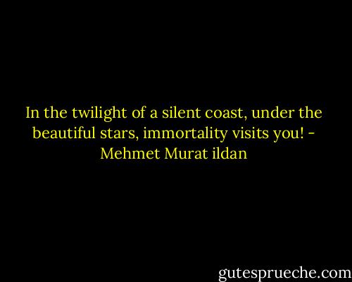 In the twilight of a silent coast, under the beautiful stars, immortality visits you! - Mehmet Murat ildan