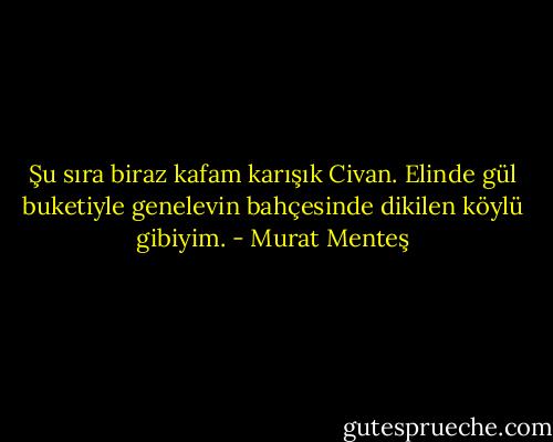 Şu sıra biraz kafam karışık Civan. Elinde gül buketiyle genelevin bahçesinde dikilen köylü gibiyim. - Murat Menteş