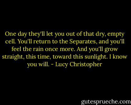 One day they'll let you out of that dry, empty cell. You'll return to the Separates, and you'll feel the rain once more. And you'll grow straight, this time, toward this sunlight. I know you will. - Lucy Christopher