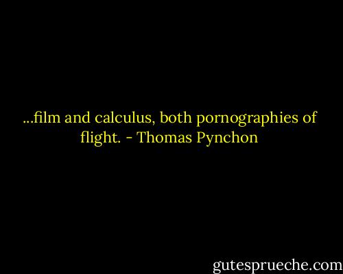 ...film and calculus, both pornographies of flight. - Thomas Pynchon