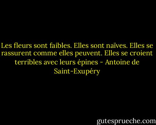 Les fleurs sont faibles. Elles sont naïves. Elles se rassurent comme elles peuvent. Elles se croient terribles avec leurs épines - Antoine de Saint-Exupéry
