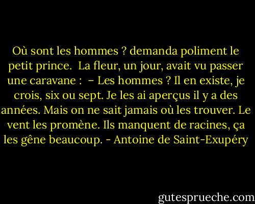 Où sont les hommes ? demanda poliment le petit prince.<br /><br />La fleur, un jour, avait vu passer une caravane :<br /><br />– Les hommes ? Il en existe, je crois, six ou sept. Je les ai aperçus il y a des années. Mais on ne sait jamais où les trouver. Le vent les promène. Ils manquent de racines, ça les gêne beaucoup. - Antoine de Saint-Exupéry