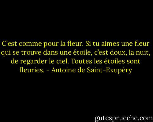 C’est comme pour la fleur. Si tu aimes une fleur qui se trouve dans une étoile, c’est doux, la nuit, de regarder le ciel. Toutes les étoiles sont fleuries. - Antoine de Saint-Exupéry