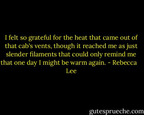 I felt so grateful for the heat that came out of that cab's vents, though it reached me as just slender filaments that could only remind me that one day I might be warm again. - Rebecca    Lee