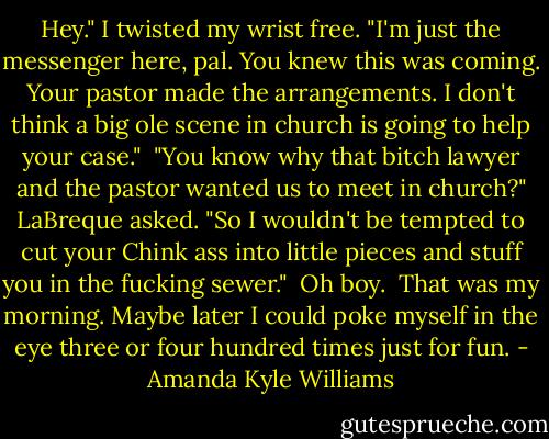 Hey." I twisted my wrist free. "I'm just the messenger here, pal. You knew this was coming. Your pastor made the arrangements. I don't think a big ole scene in church is going to help your case."<br /> "You know why that bitch lawyer and the pastor wanted us to meet in church?" LaBreque asked. "So I wouldn't be tempted to cut your Chink ass into little pieces and stuff you in the fucking sewer."<br /> Oh boy.<br /> That was my morning. Maybe later I could poke myself in the eye three or four hundred times just for fun. - Amanda Kyle Williams