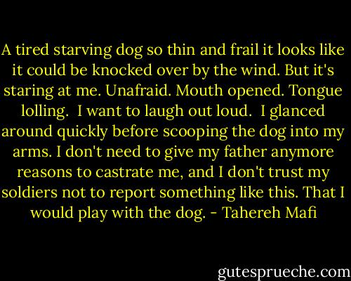 A tired starving dog so thin and frail it looks like it could be knocked over by the wind. But it's staring at me. Unafraid. Mouth opened. Tongue lolling. <br />I want to laugh out loud. <br />I glanced around quickly before scooping the dog into my arms. I don't need to give my father anymore reasons to castrate me, and I don't trust my soldiers not to report something like this. That I would play with the dog. - Tahereh Mafi