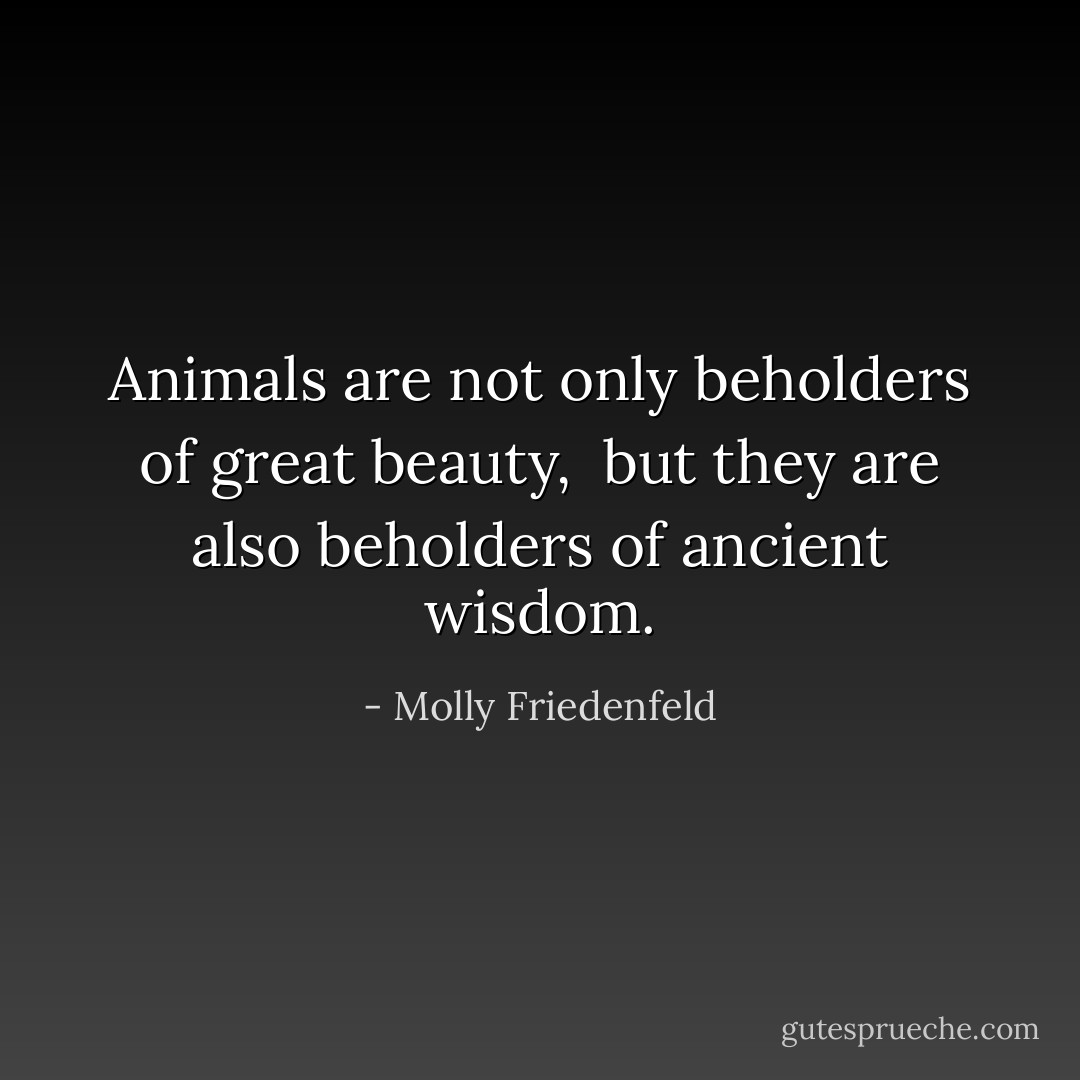 Animals are not only beholders of great beauty, <br />but they are also beholders of ancient wisdom. - Molly Friedenfeld