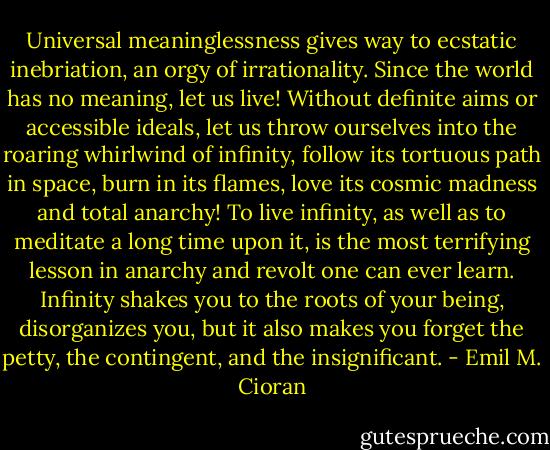 Universal meaninglessness gives way to ecstatic inebriation, an orgy of irrationality. Since the world has no meaning, let us live! Without definite aims or accessible ideals, let us throw ourselves into the roaring whirlwind of infinity, follow its tortuous path in space, burn in its flames, love its cosmic madness and total anarchy! To live infinity, as well as to meditate a long time upon it, is the most terrifying lesson in anarchy and revolt one can ever learn. Infinity shakes you to the roots of your being, disorganizes you, but it also makes you forget the petty, the contingent, and the insignificant. - Emil M. Cioran