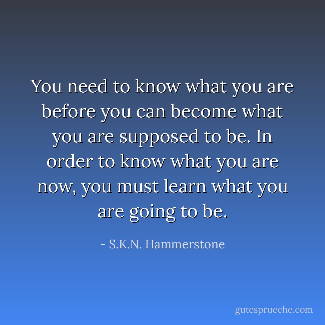 You need to know what you are before you can become what you are supposed to be. In order to know what you are now, you must learn what you are going to be. - S.K.N. Hammerstone
