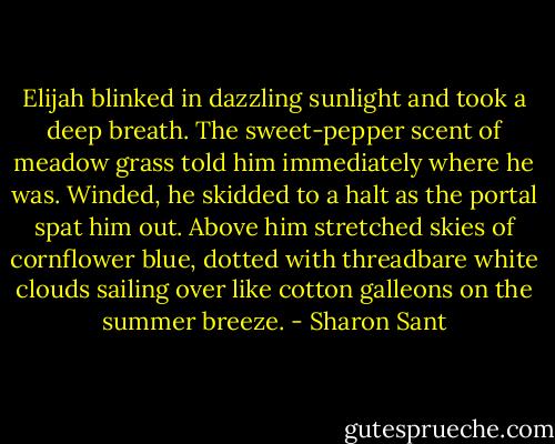 Elijah blinked in dazzling sunlight and took a deep breath. The sweet-pepper scent of meadow grass told him immediately where he was. Winded, he skidded to a halt as the portal spat him out. Above him stretched skies of cornflower blue, dotted with threadbare white clouds sailing over like cotton galleons on the summer breeze. - Sharon Sant
