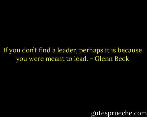 If you don’t find a leader, perhaps it is because you were meant to lead. - Glenn Beck