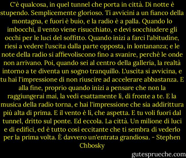 C'è qualcosa, in quel tunnel che porta in città. Di notte è stupendo. Semplicemente glorioso. Ti avvicini a un fianco della montagna, e fuori è buio, e la radio è a palla. Quando lo imbocchi, il vento viene risucchiato, e devi socchiudere gli occhi per le luci del soffitto. Quando inizi a farci l'abitudine, riesi a vedere l'uscita dalla parte opposta, in lontananza; e le note della radio si affievoliscono fino a svanire, perchè le onde non arrivano. Poi, quando sei al centro della galleria, la realtà intorno a te diventa un sogno tranquillo. L'uscita si avvicina, e tu hai l'impressione di non riuscire ad accelerare abbastanza. E alla fine, proprio quando inizi a pensare che non la raggiungerai mai, la vedi esattamente lì, di fronte a te. E la musica della radio torna, e hai l'impressione che sia addirittura più alta di prima. E il vento è lì, che aspetta. E tu voli fuori dal tunnel, dritto sul ponte. Ed eccola. La città. Un milione di luci e di edifici, ed è tutto così eccitante che ti sembra di vederlo per la prima volta. È davvero un'entrata grandiosa. - Stephen Chbosky