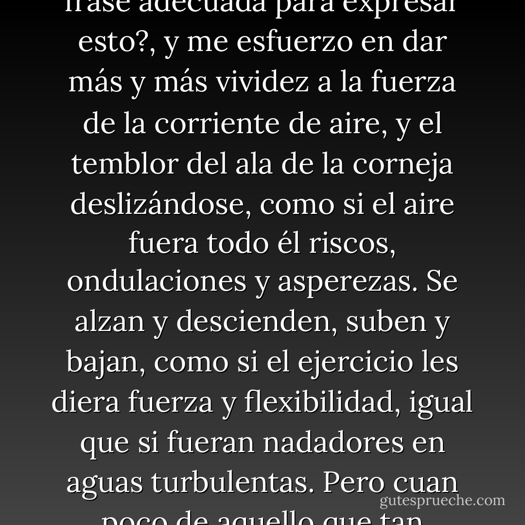 El aspecto exterior de las cosas me impresiona profundamente. Incluso ahora no puedo evitar fijarme en las cornejas, volando contra el viento, que sopla fuerte, y todavía me pregunto instintivamente, ¿cuál es la frase adecuada para expresar esto?, y me esfuerzo en dar más y más vividez a la fuerza de la corriente de aire, y el temblor del ala de la corneja deslizándose, como si el aire fuera todo él riscos, ondulaciones y asperezas. Se alzan y descienden, suben y bajan, como si el ejercicio les diera fuerza y flexibilidad, igual que si fueran nadadores en aguas turbulentas. Pero cuan poco de aquello que tan vívidamente está en mis ojos puedo expresar con la pluma; y no sólo en mis ojos; también en mis fibras nerviosas, o en la membrana en abanico de mi especie. - Virginia Woolf