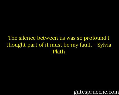 The silence between us was so profound I thought part of it must be my fault. - Sylvia Plath