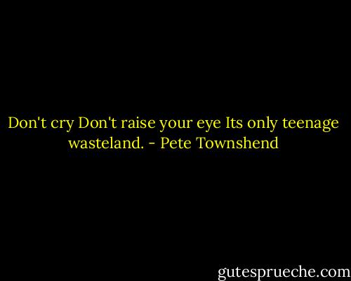 Don't cry<br />Don't raise your eye<br />Its only teenage wasteland. - Pete Townshend