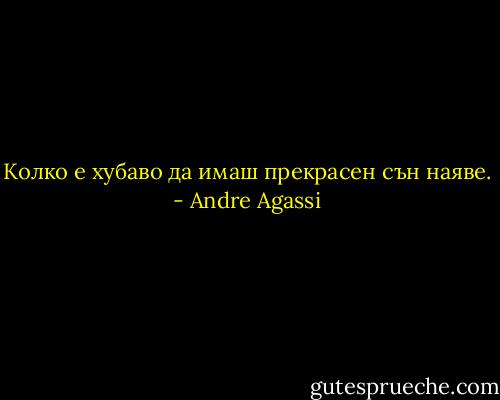 Колко е хубаво да имаш прекрасен сън наяве. - Andre Agassi