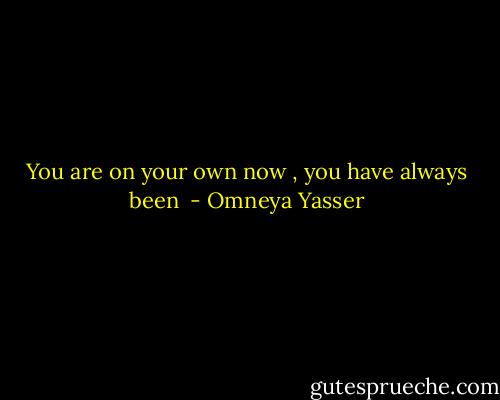You are on your own now , you have always been  - Omneya Yasser
