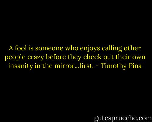 A fool is someone who enjoys calling other people crazy before they check out their own insanity in the mirror...first. - Timothy Pina